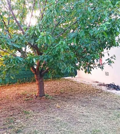 Ravissante à Quarto em Acomodações Particulares Aucamville